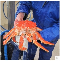 3.8斤-3.5斤/只 智利进口 帝王蟹 青蟹 螃蟹新鲜鲜活海鲜熟冻包邮