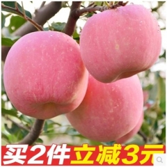 山东烟台苹果新鲜水果栖霞苹果红富士苹果大苹果五斤85#年货送礼